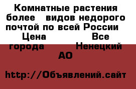 Комнатные растения более200видов недорого почтой по всей России › Цена ­ 100-500 - Все города  »    . Ненецкий АО